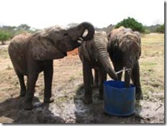 Lenana, Chyulu & Makena