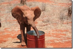 Taveta drinking water