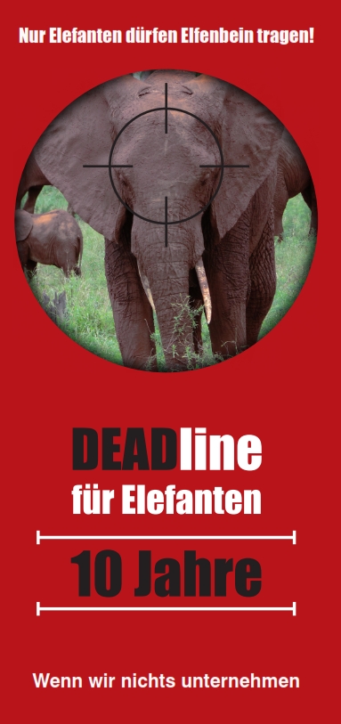 Rettet die Elefanten Afrikas e.V. - Broschüren | Rettet die Elefanten  Afrikas e.V. - Adoptiere einen Elefantenwaisen