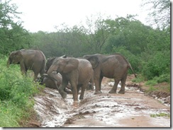 orphans playing with mud after it has rained (2)
