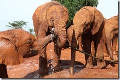 Mutara (middle) Kalama and Chemi Chemi play with the water pipe