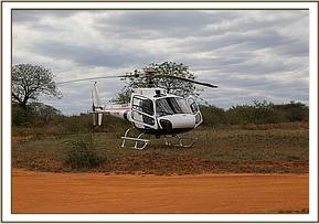 Um den Elefanten zu betäuben, wird ein Helikopter genutzt