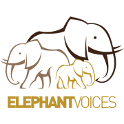 Elephantvoices ist ein neuer Partner von Rettet die Elefanten Afrikas e.V.