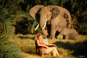 Dr. Cynthia Moss zusammen mit Elefanten im Camp des Amboseli Trust for Elephants