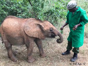 Die kleine Ziwadi mit Keeper Julius.