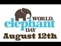Am 12. August ist Welt-Elefanten-Tag