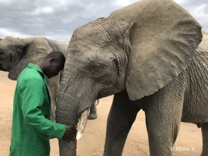 Murera und ihr Keeper Melchizedek