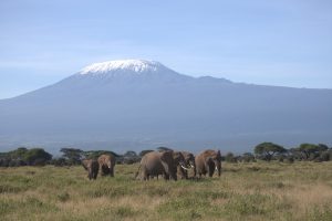 Ein Teil der GB-Familie vor der Kulisse des Kilimanjaro